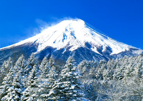 20110213-oshinomuraRB67001